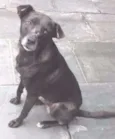 Neguinho