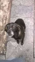 Neguinho