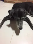 Pelé