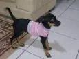 Fofinha
