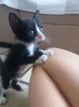 pequeno