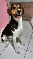 Bernardo