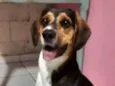 Bernardo