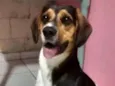 Bernardo