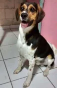 Bernardo