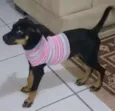 Fofinha