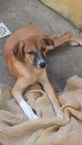 Rubi