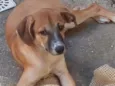 Rubi