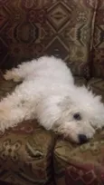 Luma