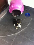 Ella