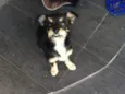 Ella