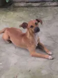 indefinido
