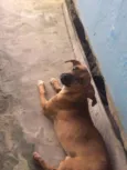 indefinido