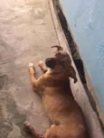 indefinido