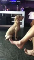 Bob