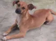indefinido