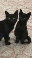 Magali e Chico