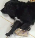Sleepy