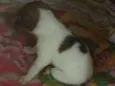nome não definido 