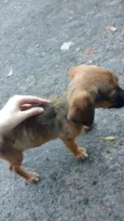 ainda não tem