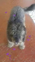 spike