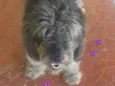 spike