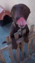 Dora