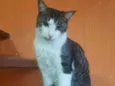 Félix