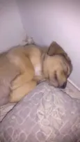 Ted
