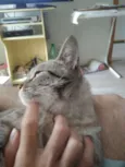 GURI