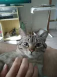 GURI