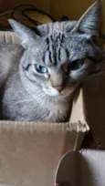 GURI