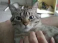 GURI