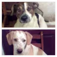 Thor e Gorda