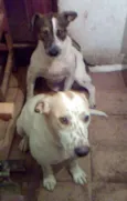 Thor e Gorda