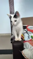 Tutti