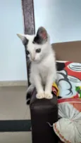 Tutti