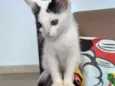 Tutti