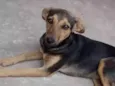 Neguinha