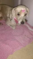 Não sei