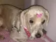 Não sei