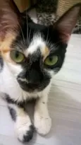 RUTINHA