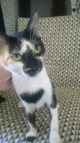 RUTINHA