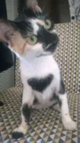 RUTINHA