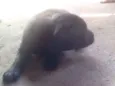 Não tem