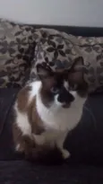 Hugo