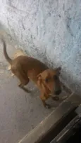 Jack