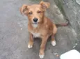 Fofo