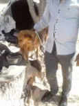 Xuxa