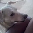 Marley